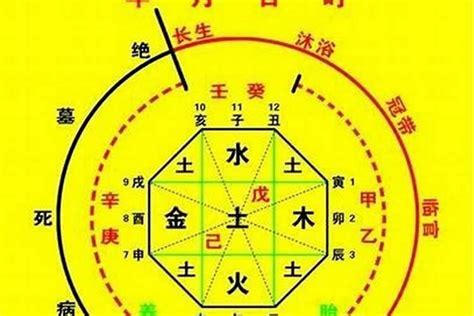 喜木水運|八字喜水木的字 (八字喜金水木是什么意思)